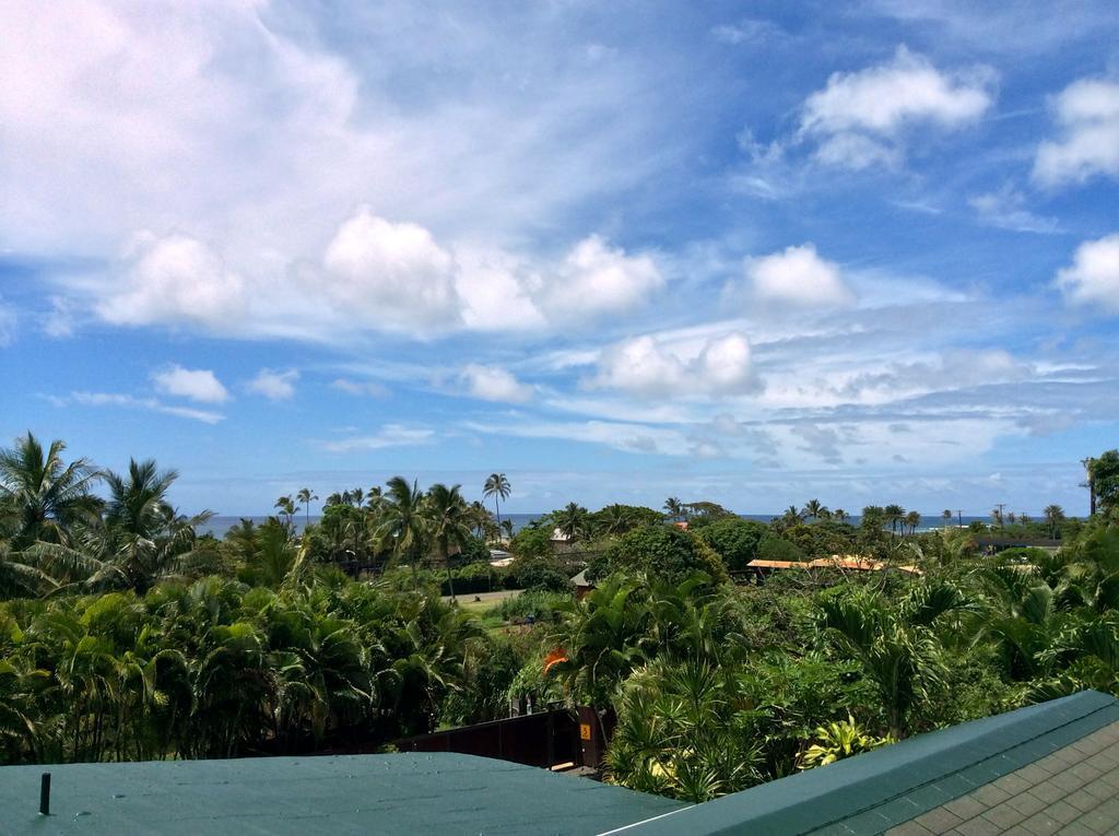 Country house Kalani Hawaii Private