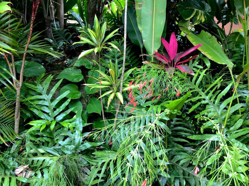 Kalani Hawaii Private Country house Pupukea